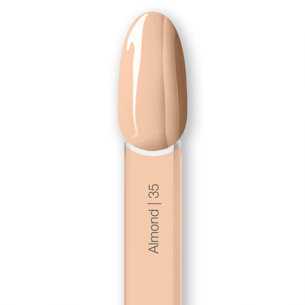 Almond 35