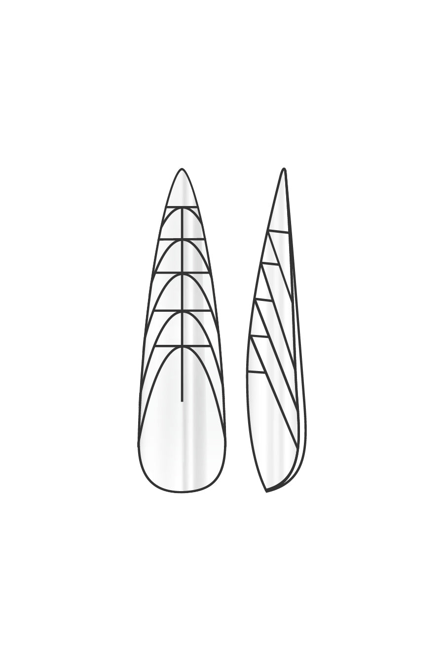 Display Form 19