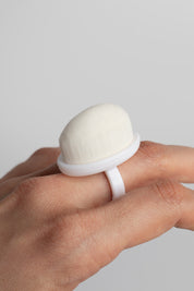 Anello Spazzola polvere