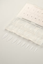 Display Form 19