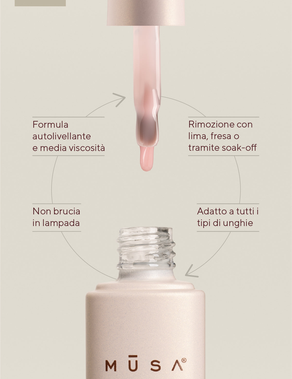 musa-structure-inforgrafica_5.jpg