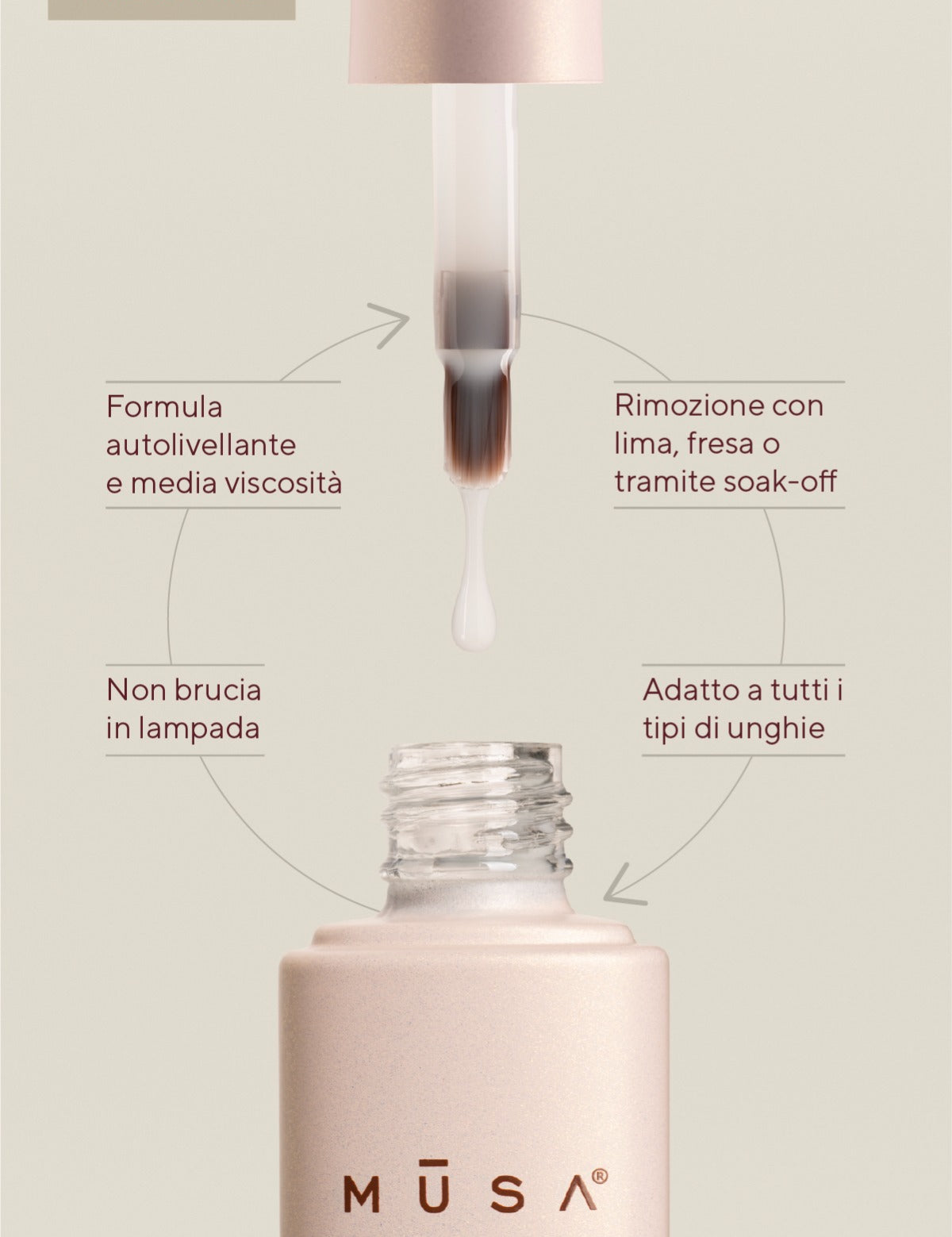 musa-structure-inforgrafica_6.jpg